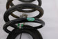2019-25 RAM 1500 Big Horn Rear Right Passenger and Left Driver Side Coil Spring2