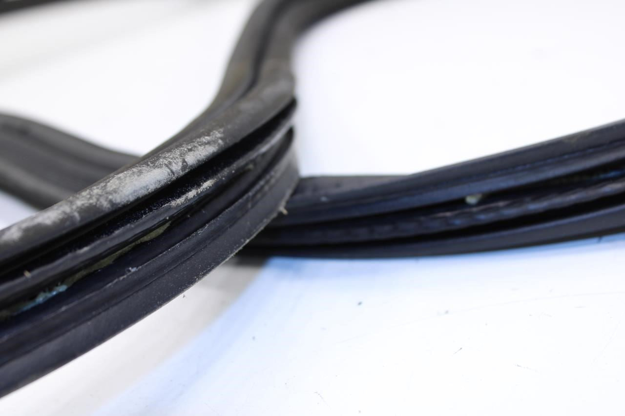2019-2025 Cadillac XT4 Premium Rear Liftgate Back Door Weatherstrip 84628014 OEM - Alshned Auto Parts