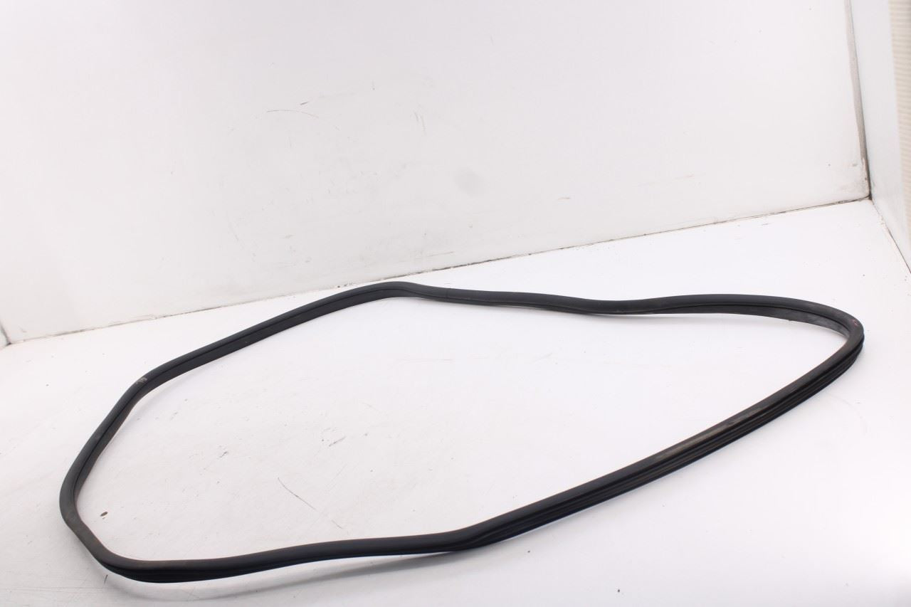 2020-2026 Hyundai Palisade Limited AWD Rear Left Side Door Weatherstrip On Body9