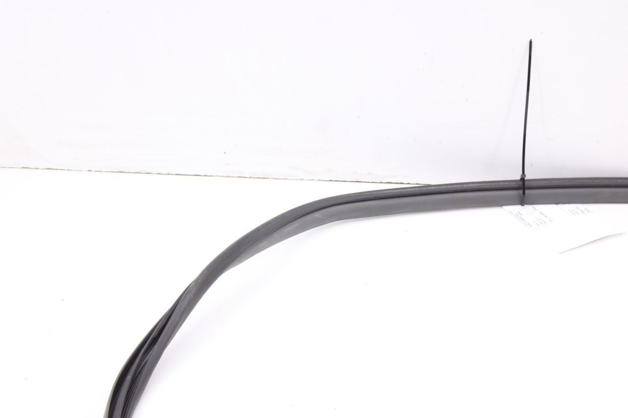 15-20 Toyota Sienna LE Front Left Side Door Weatherstrip On Body 62312-08020-B1 - Alshned Auto Parts