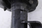 18-23 Jeep Cherokee Limited 3.2L 4WD Front Driver Left Side Shock Strut Absorber - Alshned Auto Parts