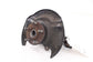 16-22 Acura ILX Technology A-Spec Front Right Passenger Side Spindle Knuckle Hub - Alshned Auto Parts