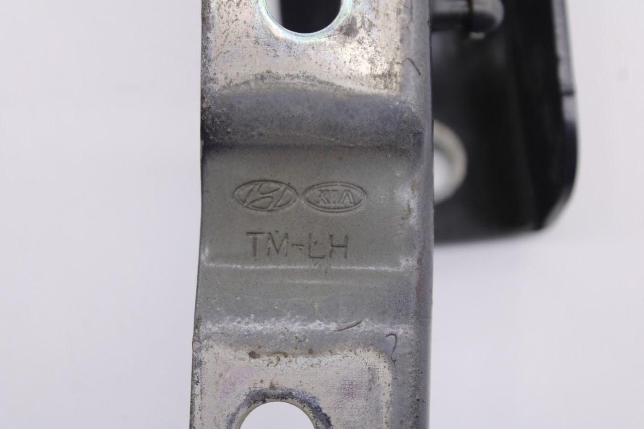 2019-2023 Hyundai Santa Fe SEL Front Right and Left Driver Side Hood Hinge Set6