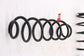 2022-24 Toyota Corolla LE Rear Right Passenger and Left Driver Side Coil Spring9