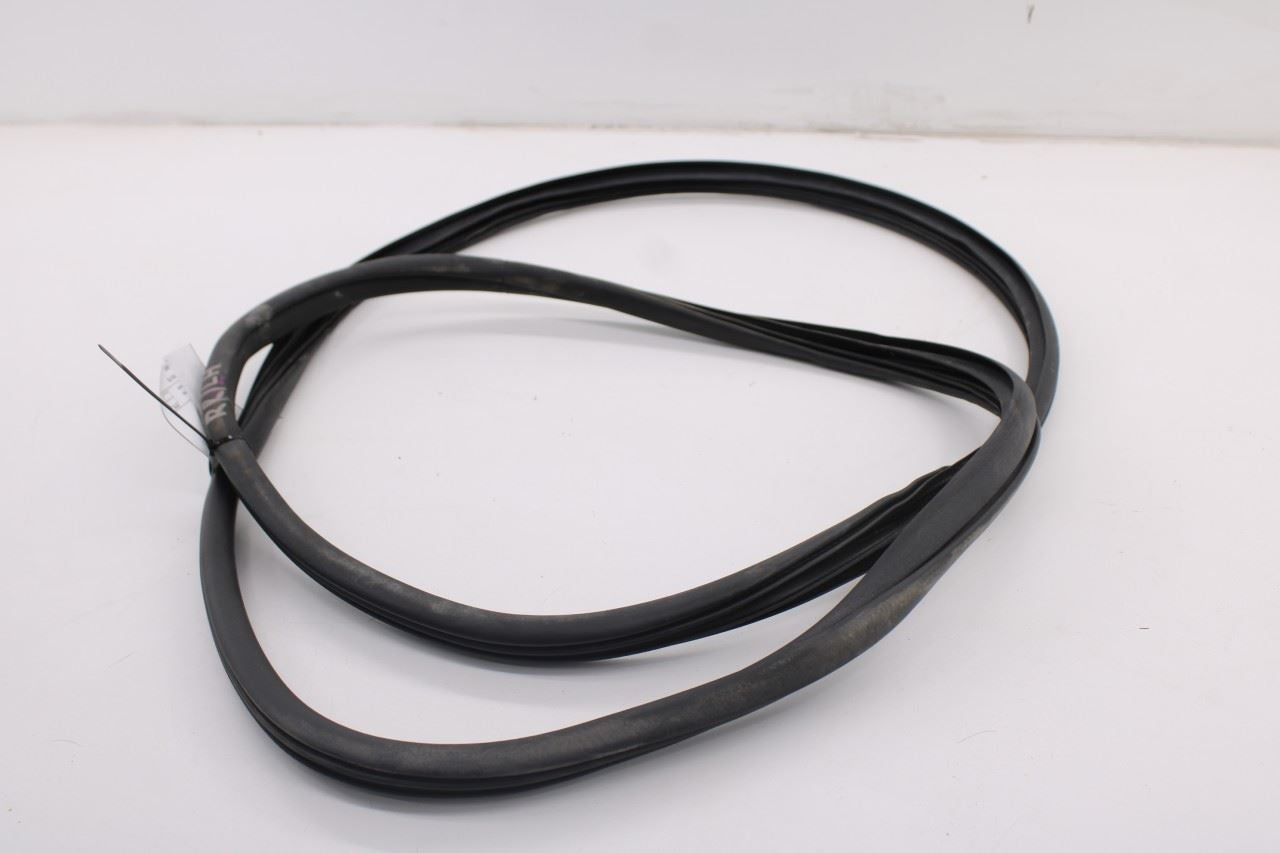 2019-2026 Ram 1500 Big Horn Crew Cab Rear Left Side Door Weatherstrip On Body7