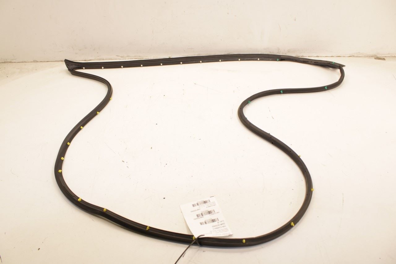 2011-18 Ram 1500 Big Horn Front Right Side Door Mounted Weatherstrip 55112356AE - Alshned Auto Parts