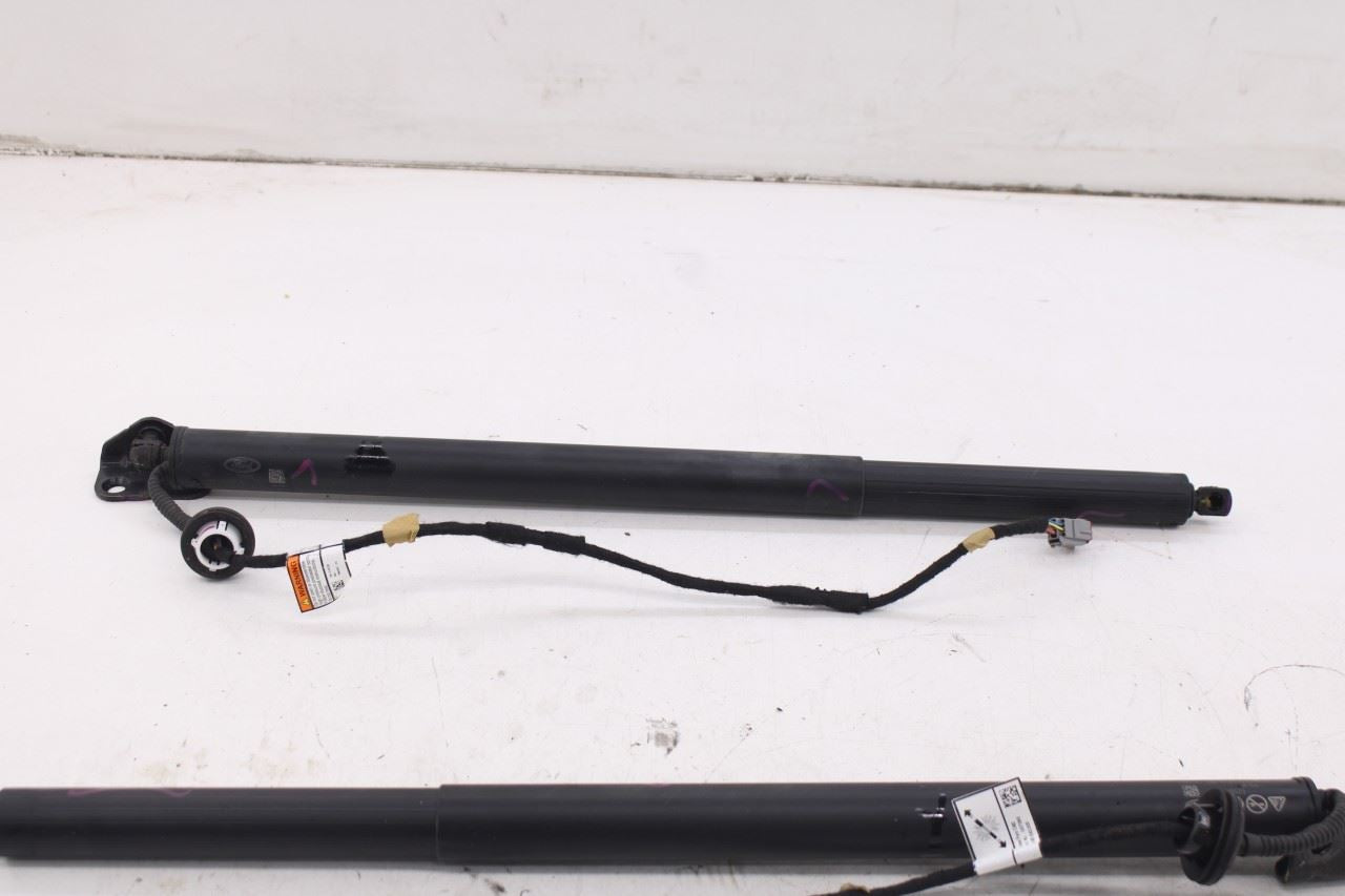 20-26 Ford Escape ST Rear Right and Left Liftgate Power Lift Cylinder Strut Set - Alshned Auto Parts