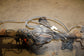 11-16 Ford F-250 Lariat 6.2L 4WD Rear Axle Differential Electronic Lock 3.73 rat - Alshned Auto Parts