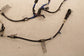 2023-26 Acura Integra A-Spec Rear LH and RH ABS Wheel Speed Sensor Wire Harness - Alshned Auto Parts