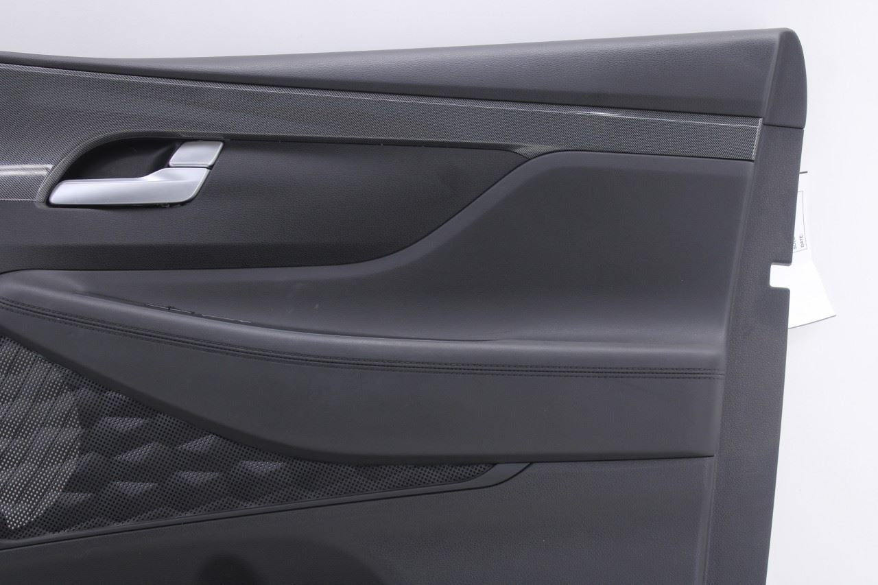 2021-23 Hyundai Santa Fe SEL Front Right Side Door Trim Panel 93576-S1100NNB OEM3