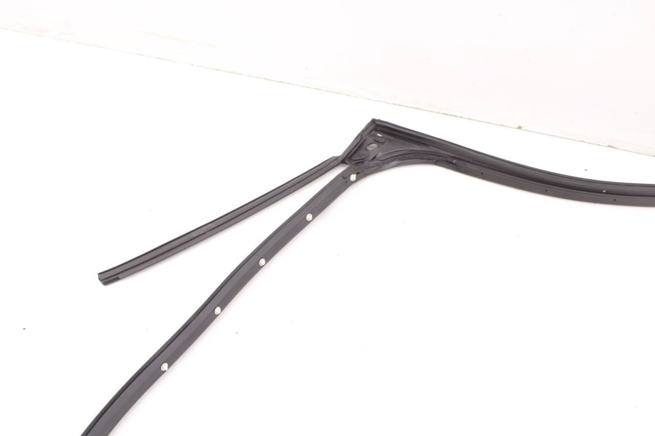 2019-2025 Infiniti QX50 LUXE Rear Left Door Weatherstrip with Belt Molding Set - Alshned Auto Parts