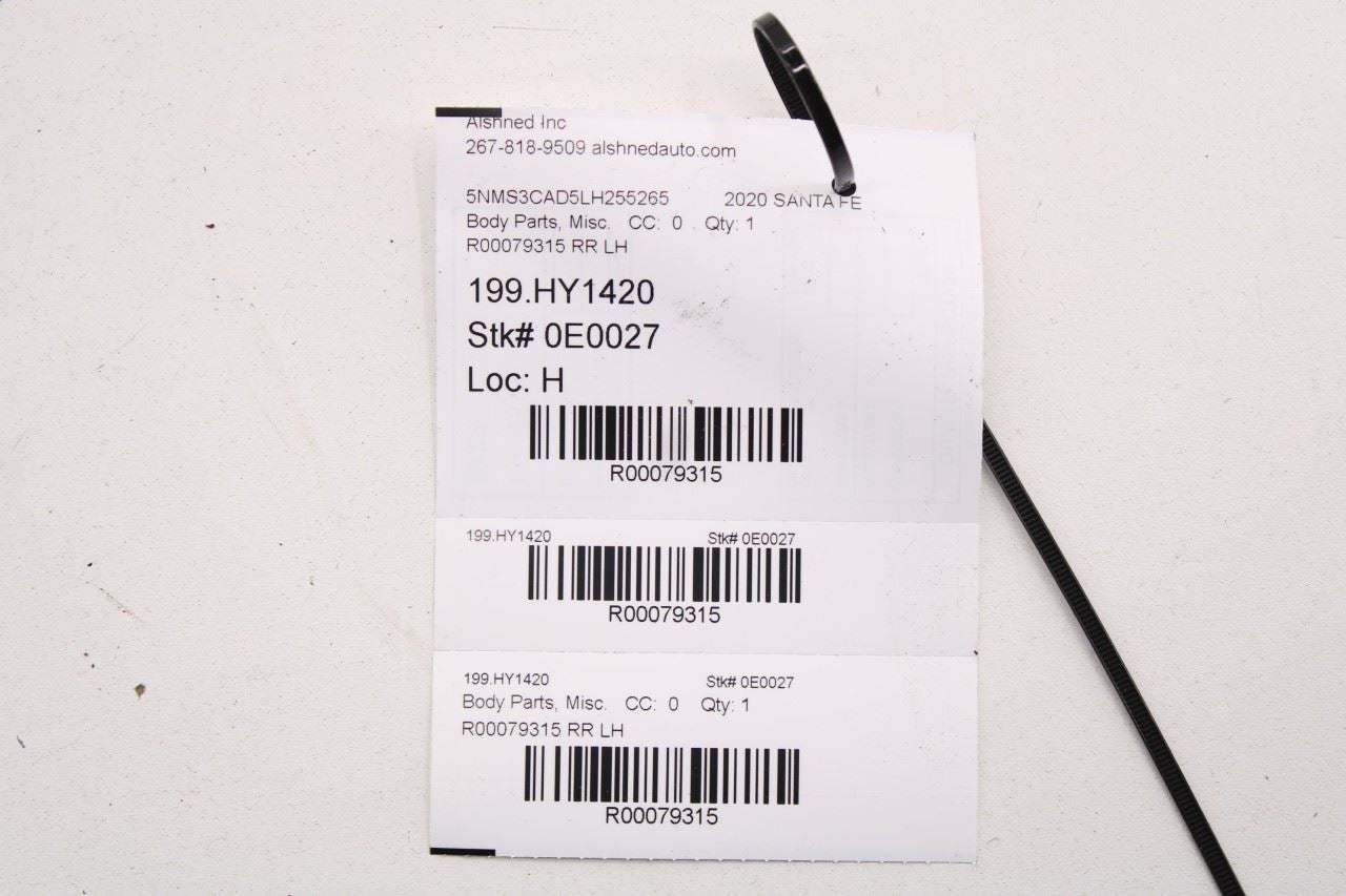 19-20 Hyundai Santa Fe SEL Rear Left Door Run Channel w/ Belt Inner Weatherstrip - Alshned Auto Parts
