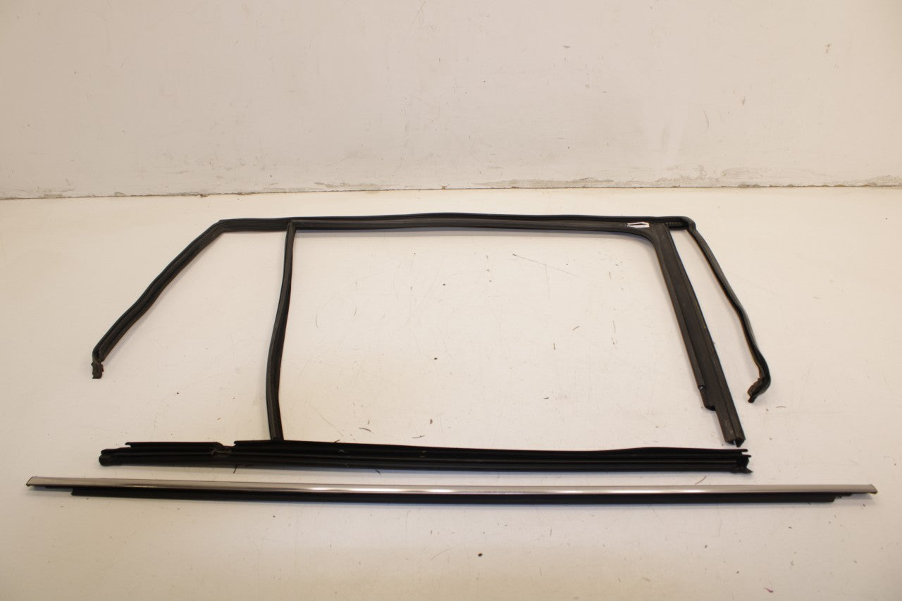 18-25 Volkswagen Atlas S RR LH Door Run Channel w/ Belt Molding and Weatherstrip - Alshned Auto Parts