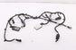 17-18 Buick Lacrosse Premium Rear Blind Spot Radar Park Sensors w/ Wire Harness0