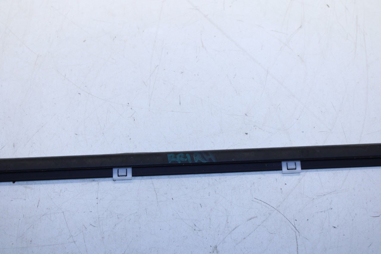 2016-20 Hyundai Elantra Rear Right Door Run Channel w/ Belt Molding Weatherstrip - Alshned Auto Parts