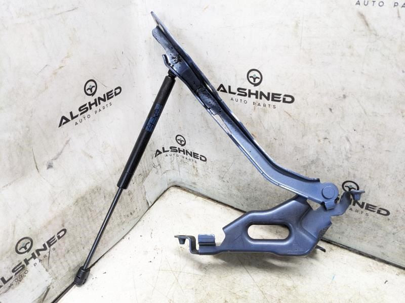 18-23 Ford Expedition Hood Hinges w Lift Cylinder Shocks JL1Z-16796-A OEM *ReaD* - Alshned Auto Parts