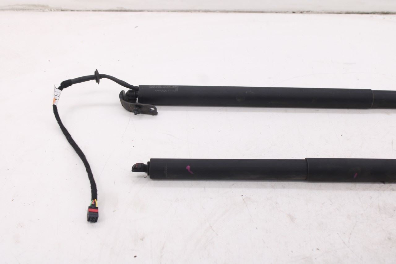 2019-25 Infiniti QX50 ESSENTIAL Rear Right and Left Liftgate Lift Cylinder Strut - Alshned Auto Parts
