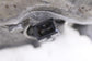 2013-2015 BMW 750i xDrive 4.4L Twin Turbo Right Side Engine Cylinder Head Assy10