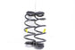 2024-2025 Chevrolet Trax Rear RH and LH Suspension Coil Spring Pair 42839712 OEM - Alshned Auto Parts
