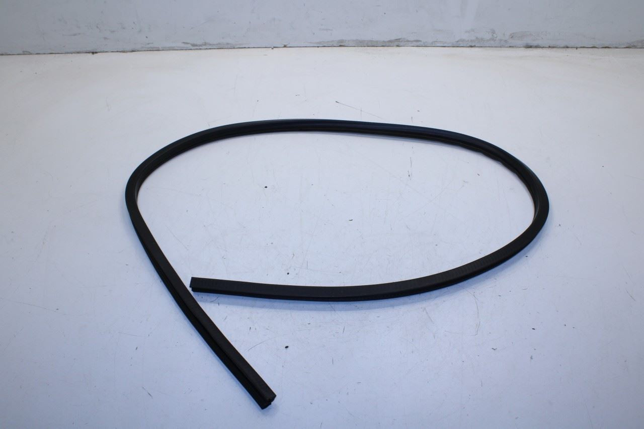 2008-2023 Dodge Challenger Front Left Door Run Channel w/ Weatherstrip On Body - Alshned Auto Parts