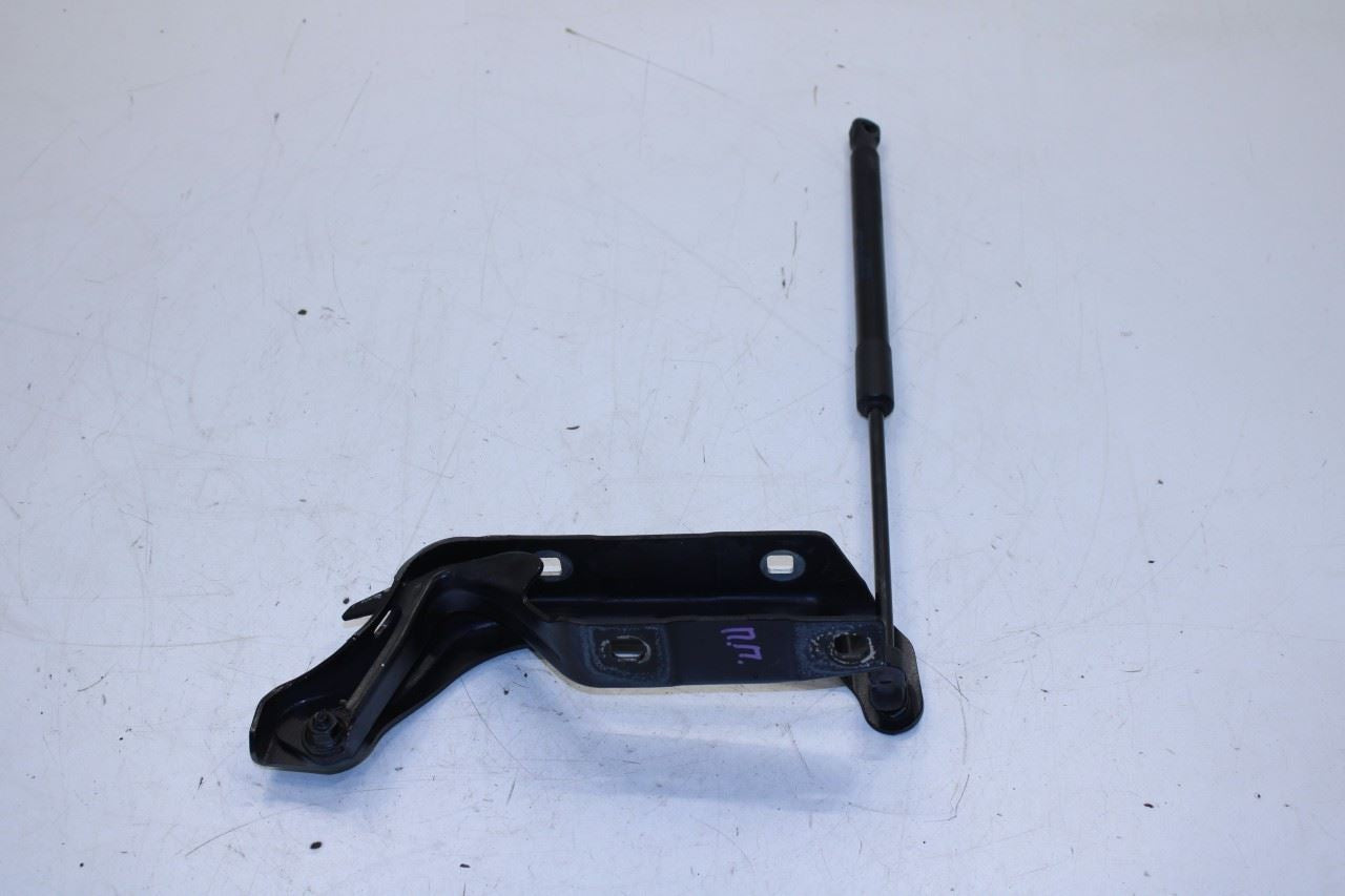 17-21 Maserati Ghibli Front Hood RH and LH Side Hinge Set w/ Lift Cylinder Pair - Alshned Auto Parts