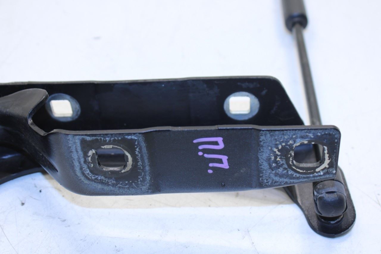 17-21 Maserati Ghibli Front Hood RH and LH Side Hinge Set w/ Lift Cylinder Pair - Alshned Auto Parts