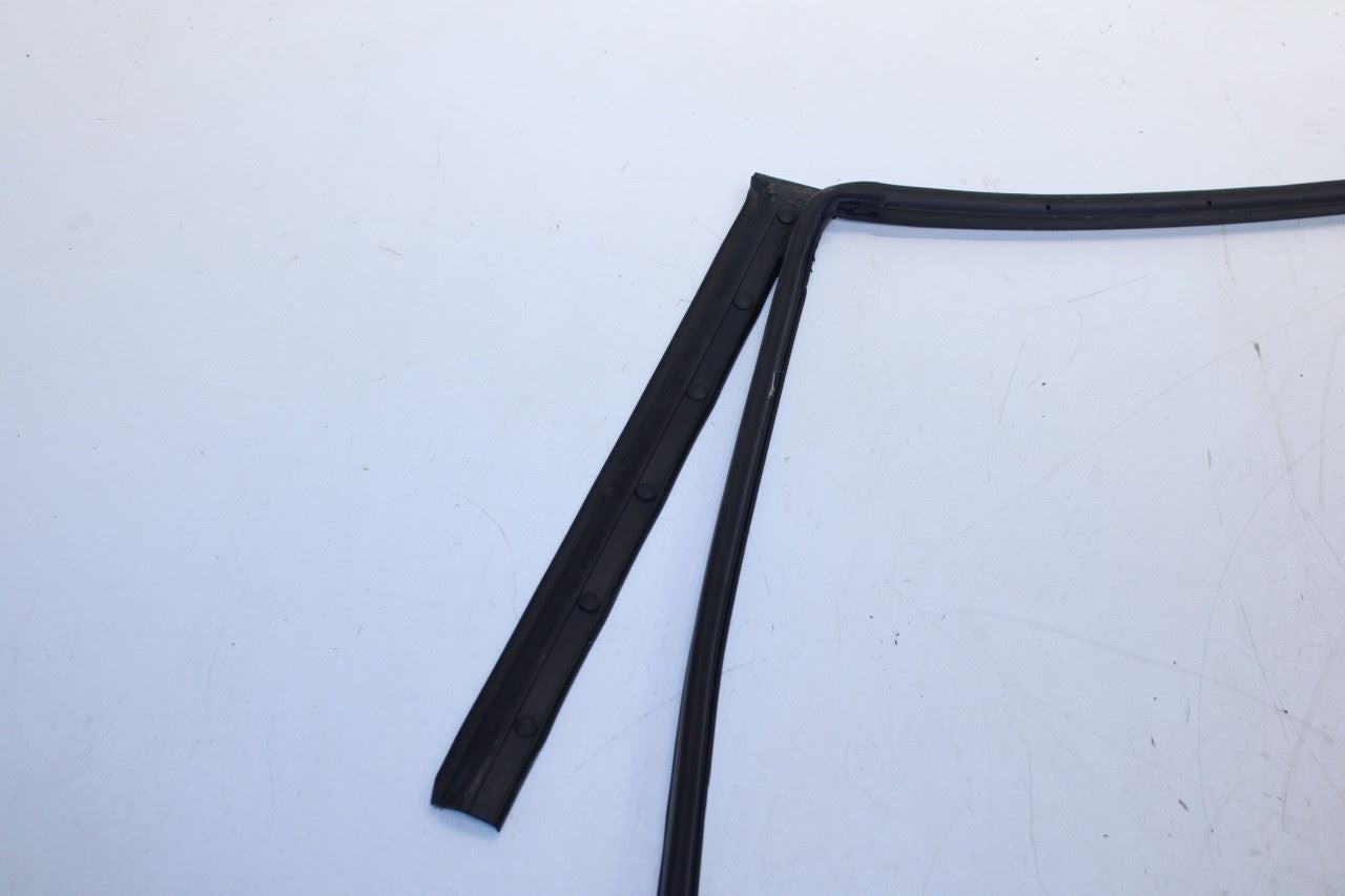 2016-20 Hyundai Elantra Rear Right Door Run Channel w/ Belt Molding Weatherstrip - Alshned Auto Parts