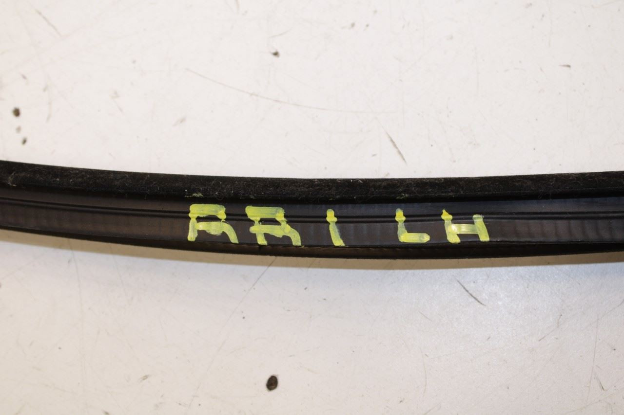 2011-2023 Dodge Charger GT AWD Rear Left Door Weatherstrip On Body 1KW36DX9AI - Alshned Auto Parts