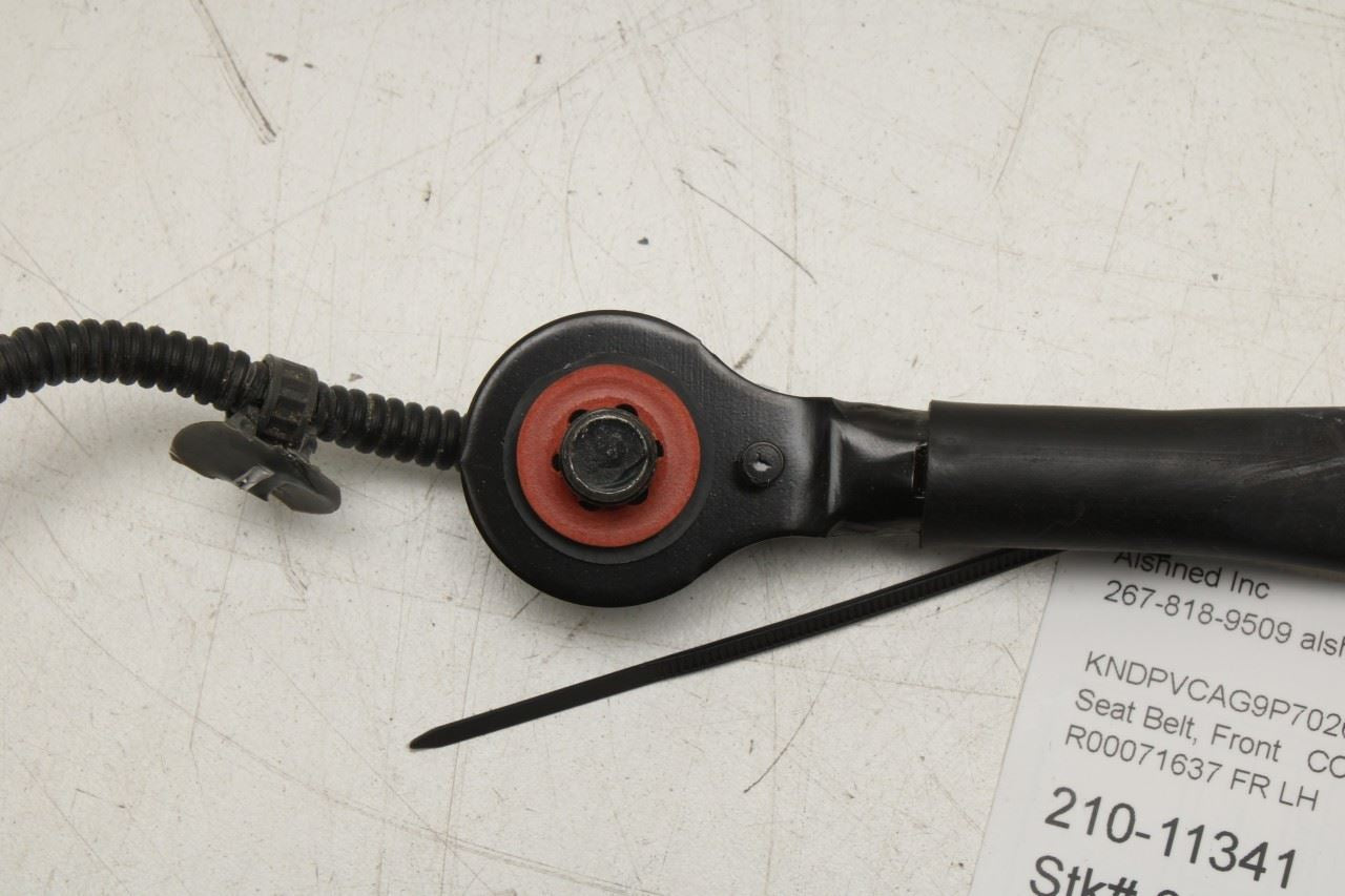 2023-25 Kia Sportage Hybrid EX 1.6L Front Seat Driver Left Side Seat Belt Buckle - Alshned Auto Parts