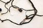 2020-23 Dodge Charger GT AWD Front Left Driver Door Wire Harness 68427949AD OEM - Alshned Auto Parts