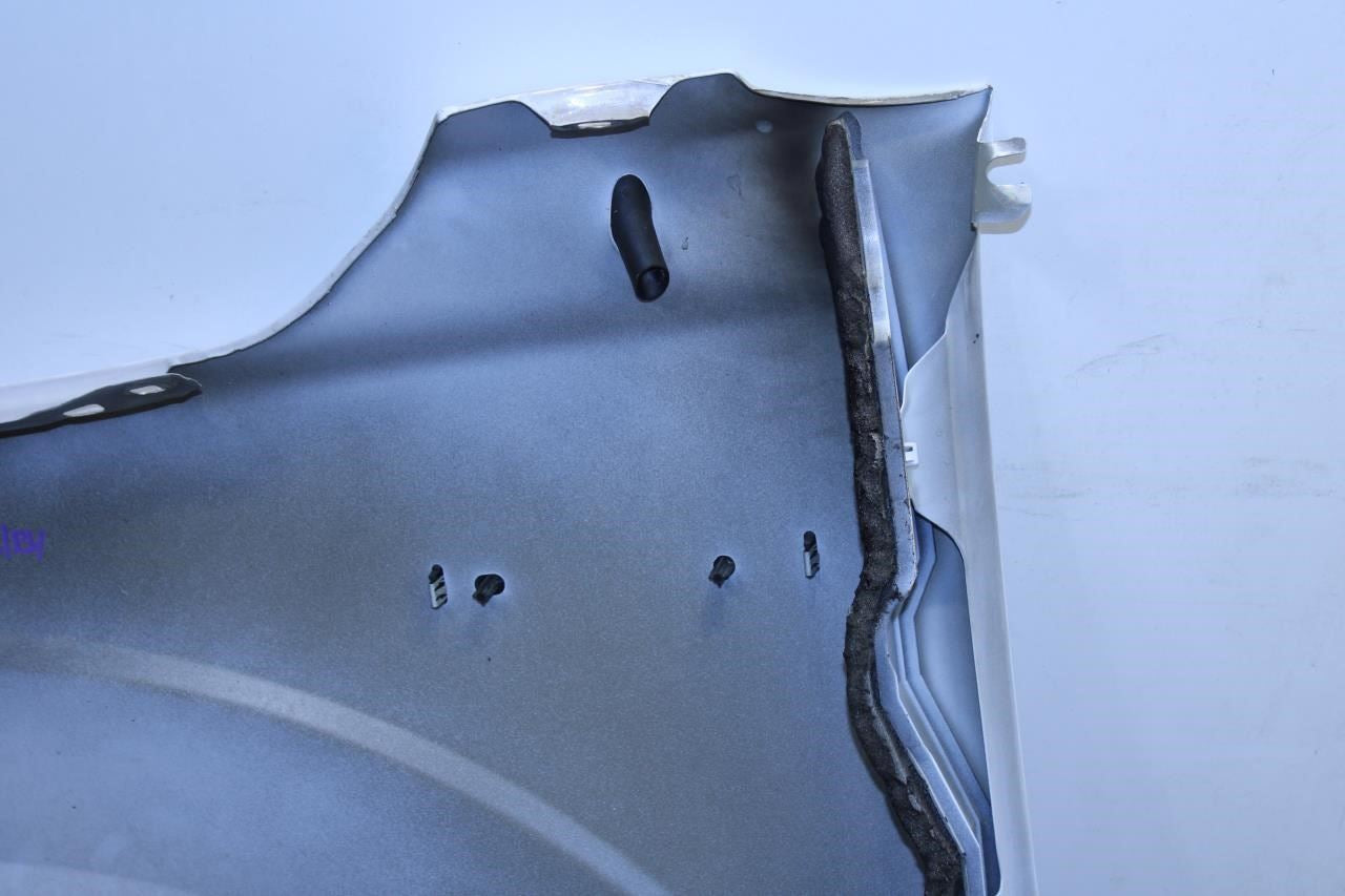 2015-20 Ford F150 XL Front Right Passenger Fender Panel VL3Z-16005-B OEM *ReaD* - Alshned Auto Parts