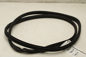2023-25 Kia Sportage Hybrid EX Front Left Door Weatherstrip On Body 82110-P1000