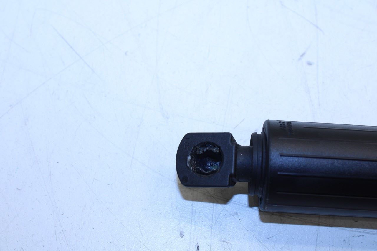 22-25 Hyundai Tucson SEL Rear RH and LH Tailgate Trunk Support Cylinder Strut - Alshned Auto Parts
