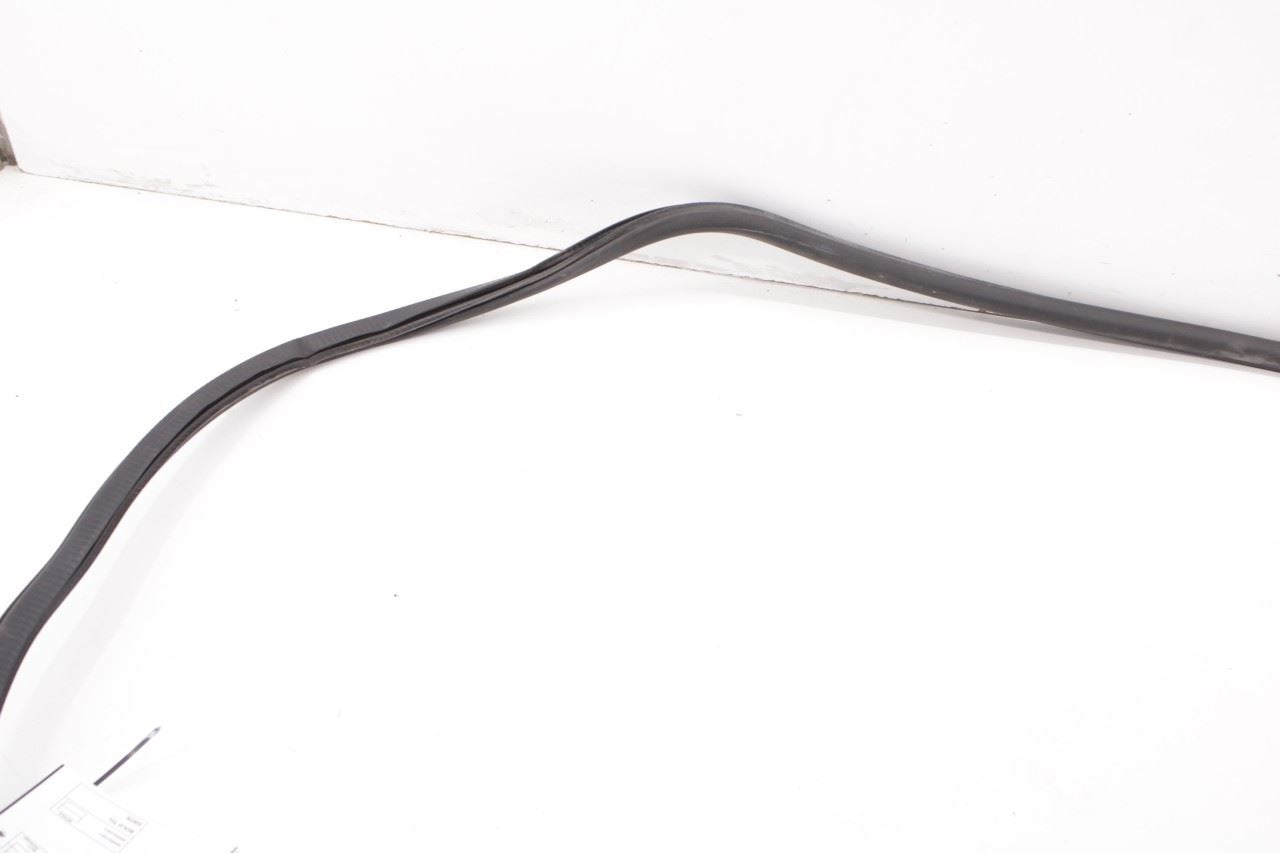 2017-2026 Chrysler Pacifica Limited Rear Left Sliding Door Weatherstrip On Body - Alshned Auto Parts