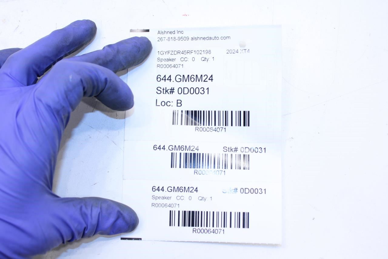 24-25 Cadillac XT4 Premium Rear Left and Right Door Audio Speakers 42801429 OEM - Alshned Auto Parts