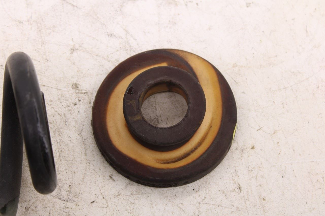 2017-2019 Buick LaCrosse Premium AWD Rear Right and Left Coil Spring 23507827 - Alshned Auto Parts