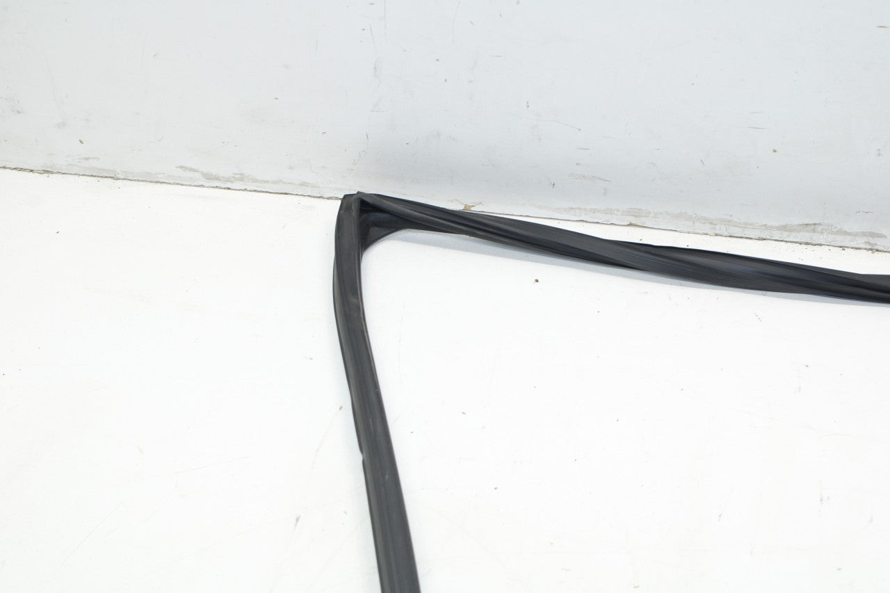 2015-2019 Nissan Murano Rear Left Door Window Run Channel w/ Belt Seal Molding - Alshned Auto Parts