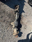 11-16 Ford F250 350 SD 4WD Front Axle Differential Carrier 3.73 rat DC3Z-3010-C0
