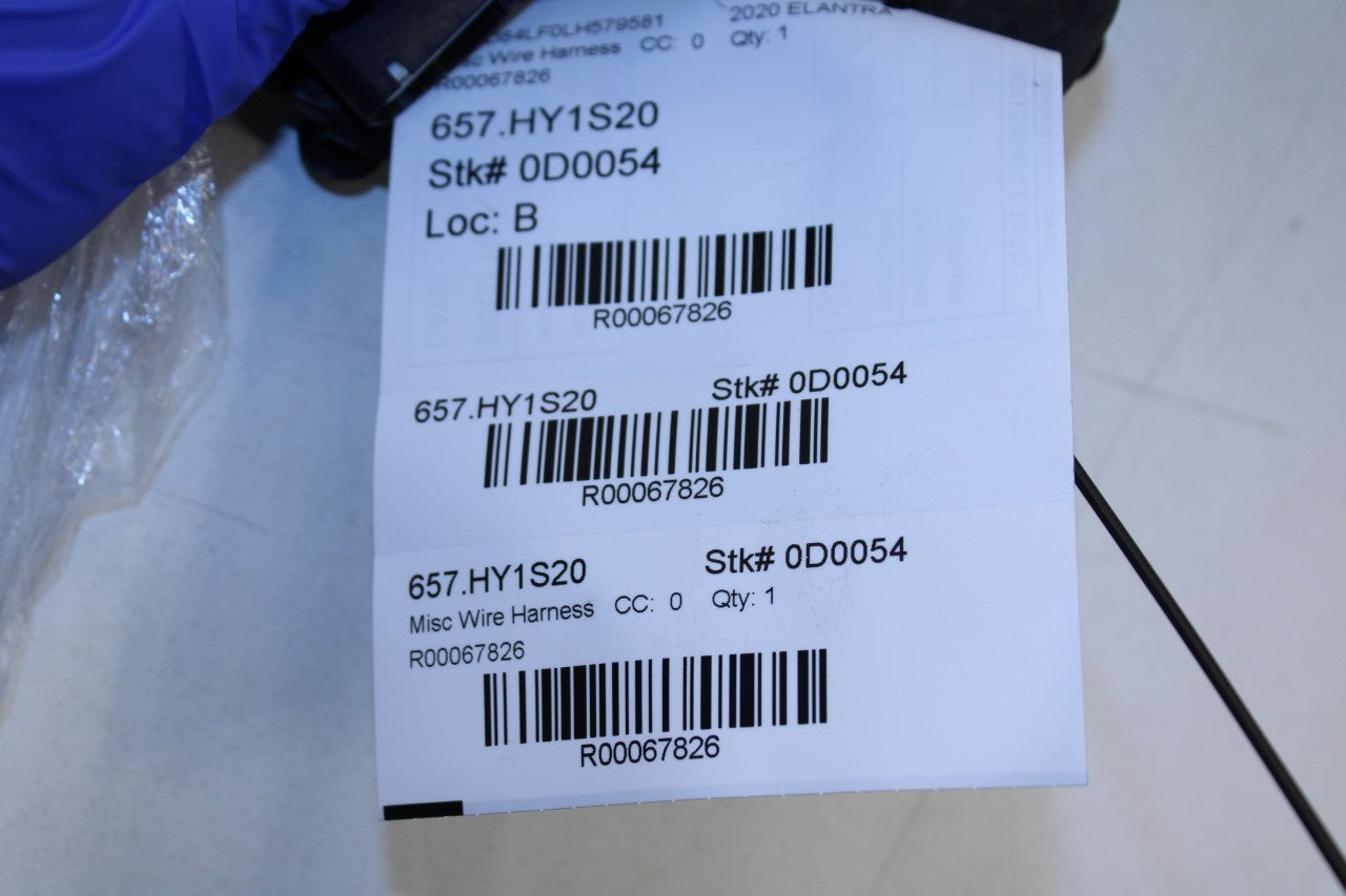 2019-2020 Hyundai Elantra SEL Rear Left Driver Door Wire Harness 91655-F3010 OEM - Alshned Auto Parts