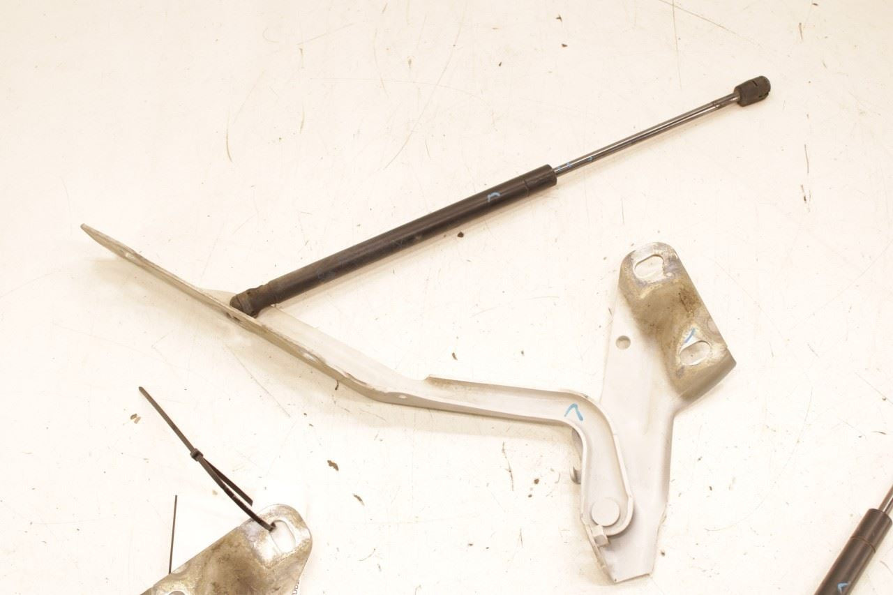 11-18 RAM 2500 Tradesman Front Right and Left Side Hood Hinge Set w/ Lift Struts - Alshned Auto Parts