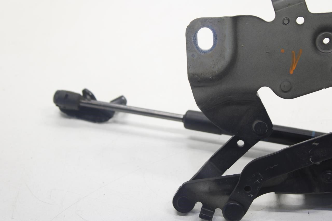 2010-2015 BMW 750i xDrive Front Left and Right Hood Bonnet Hinge 41617291701 OEM - Alshned Auto Parts