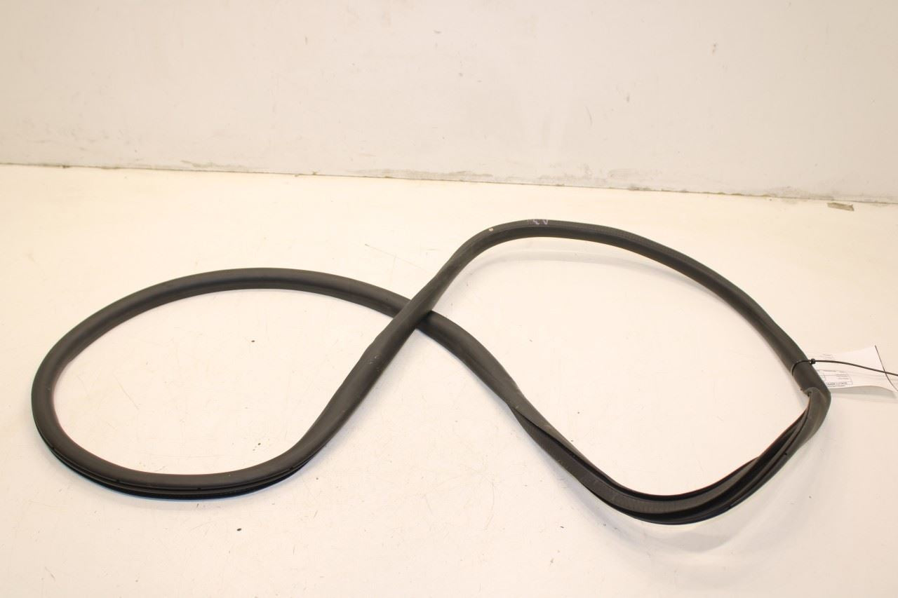 2020-23 Ford Escape SEL Rear Left Side Door Weathestrip On Body LJ6Z-78253A10-F - Alshned Auto Parts