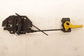 2018-2020 Ford Ecosport SE Front Hood Lock Latch Actuator GN1Z-16700-F OEM - Alshned Auto Parts
