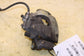 2020-2025 Ford Escape SEL Front Left Driver Side Brake Disc Caliper JX6Z-2B121-N - Alshned Auto Parts