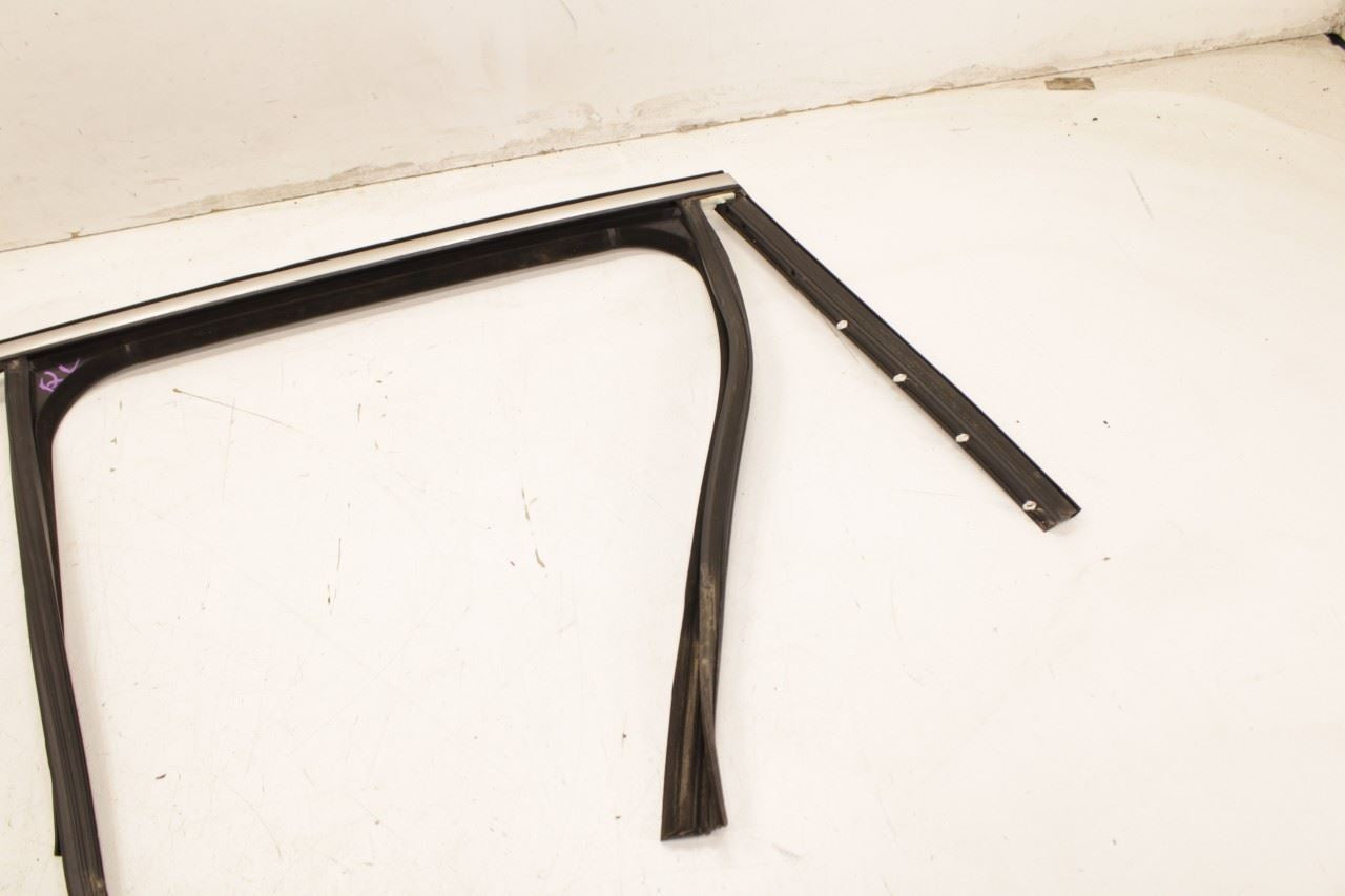 11-18 Porsche Cayenne Platinum RR LH Door Run Channel w Molding and Weatherstips - Alshned Auto Parts