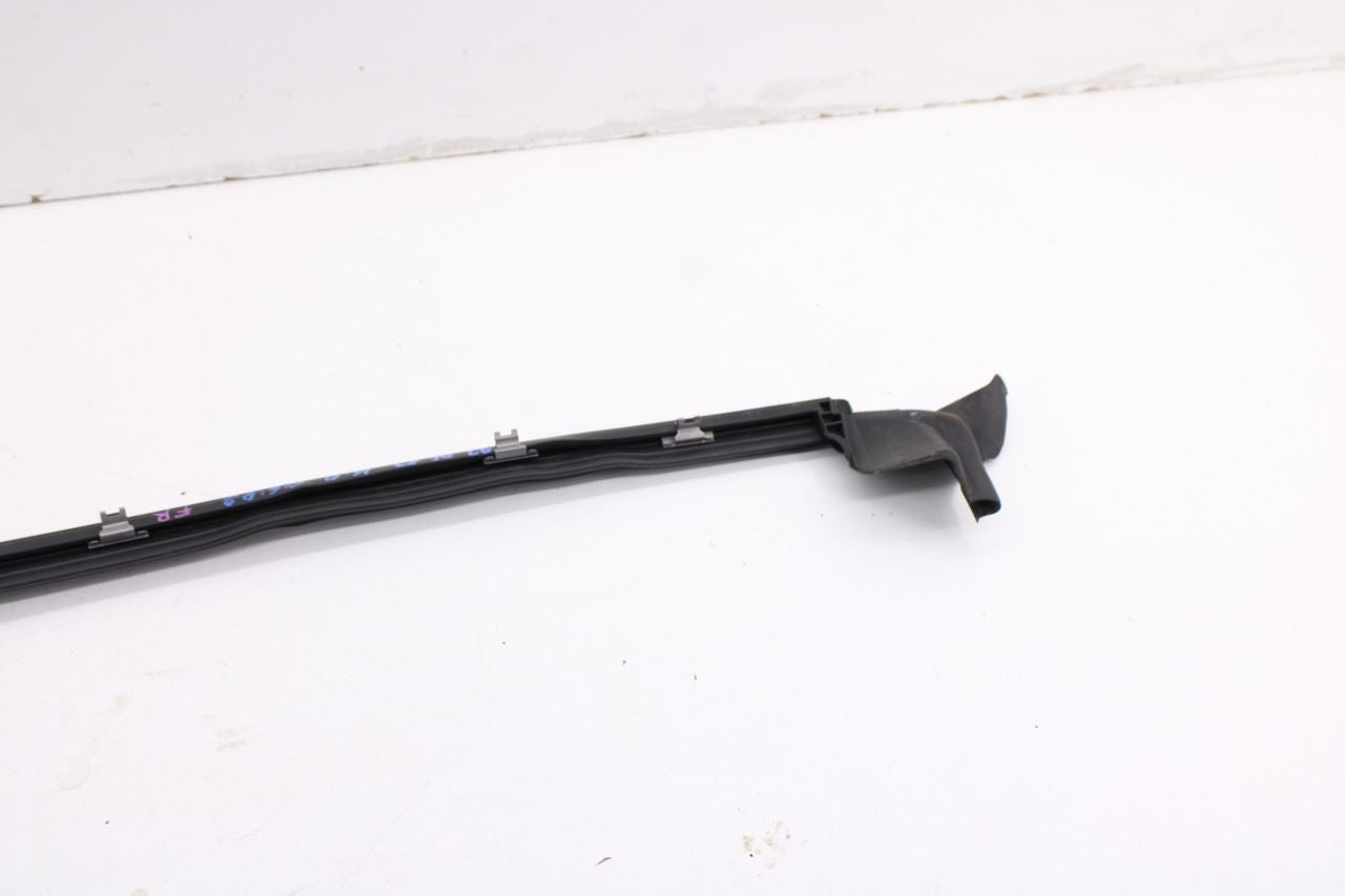 2023-2025 BMW 430i Gran Coupe xDrive Front Right Door Run Channel w/ Molding Set - Alshned Auto Parts
