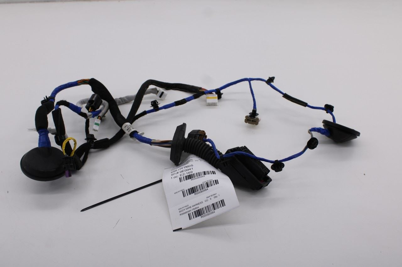2024-2025 Hyundai Elantra SE Front Right Side Door Wire Harness 916L0-AA350 OEM0