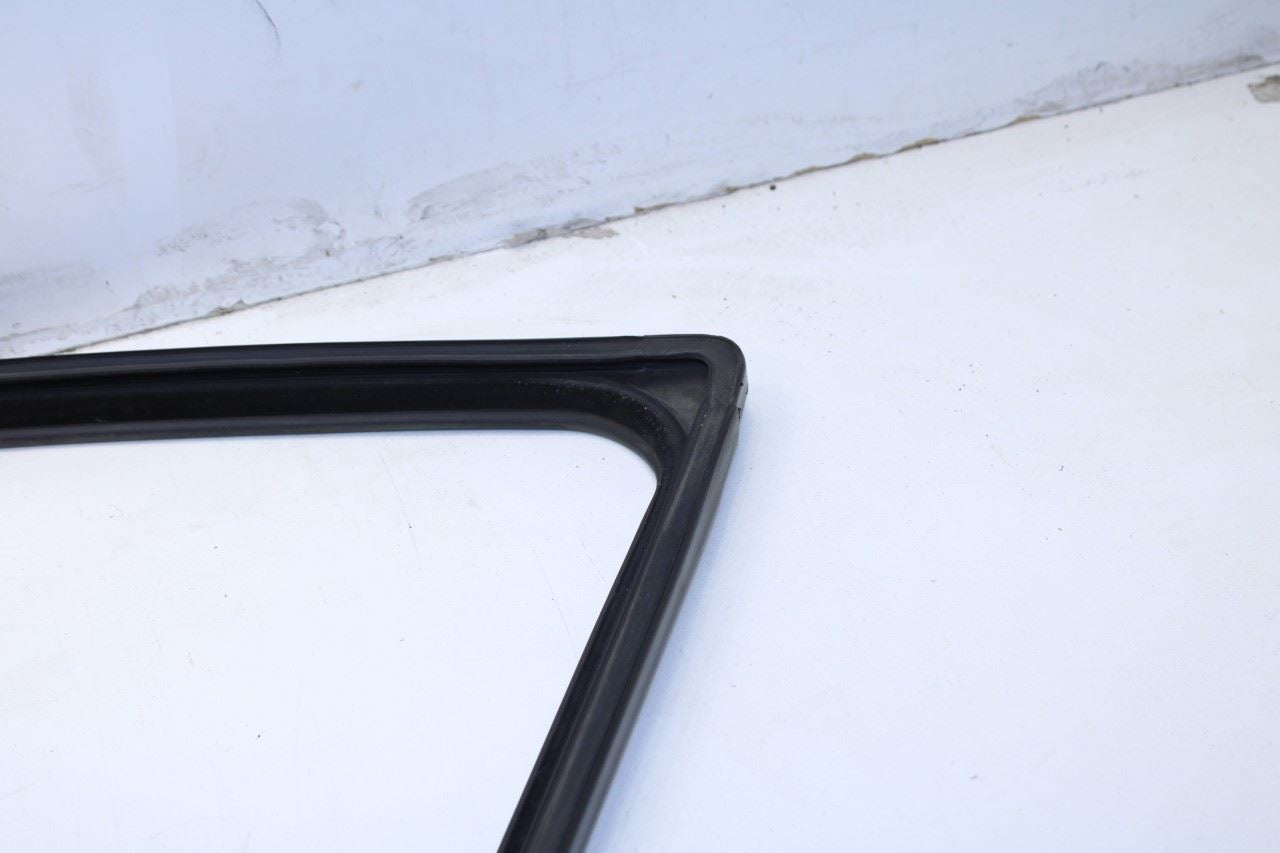 11-18 Ram 1500 Crew Cab Laramie Front Left Door Run Channel w/ Belt Weatherstrip - Alshned Auto Parts