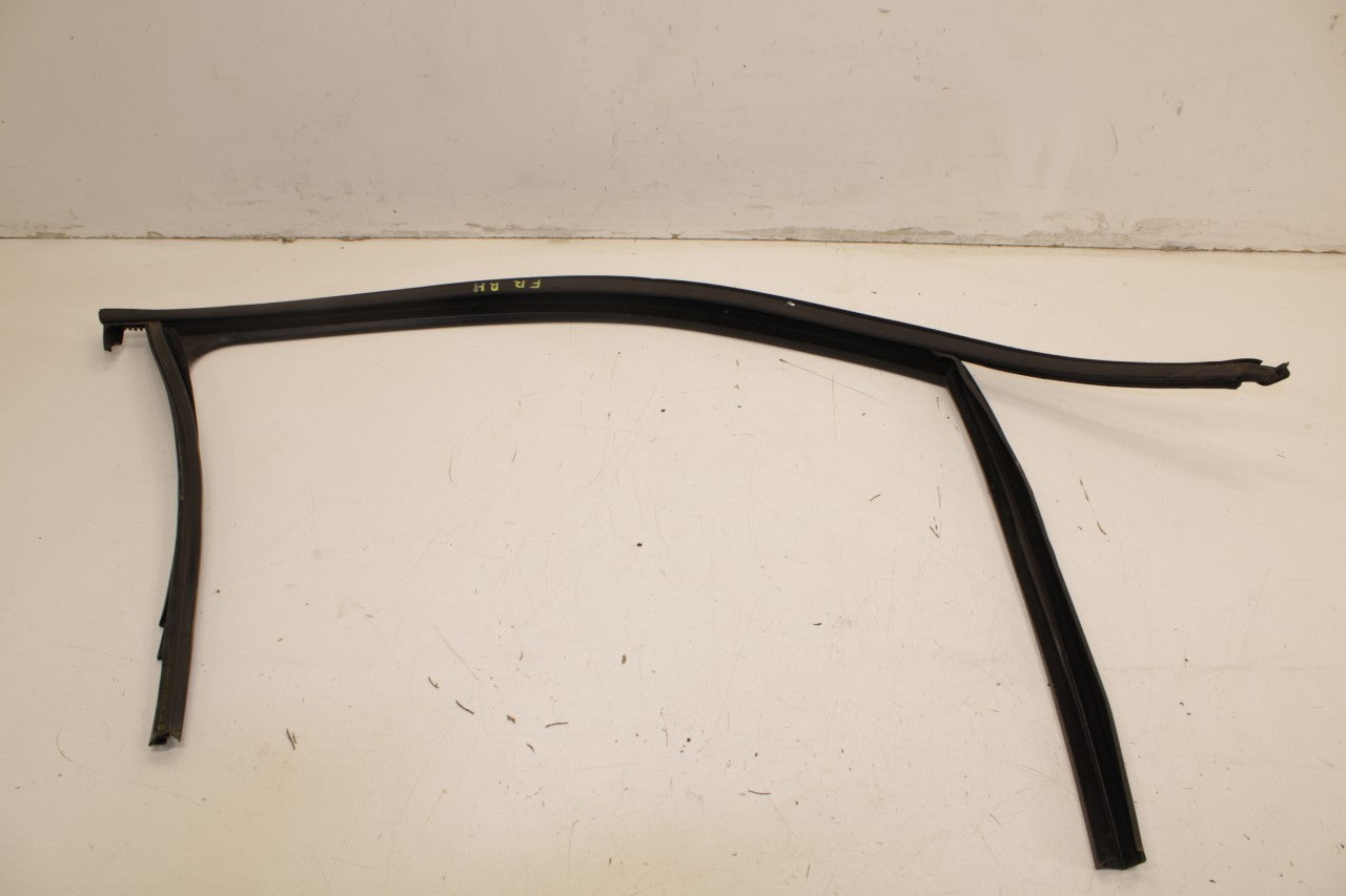 2018 Volkswagen Atlas S FR RH Door Run Channel w/ Belt Molding and Weatherstrip - Alshned Auto Parts