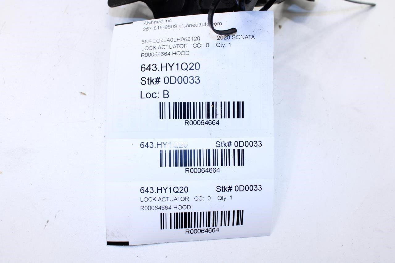2020-2023 Hyundai Sonata SE Front Hood Lock Latch Actuator 81130-L1000 OEM - Alshned Auto Parts